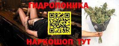 ГАЛЛЮЦИНОГЕННЫЕ ГРИБЫ Канаш