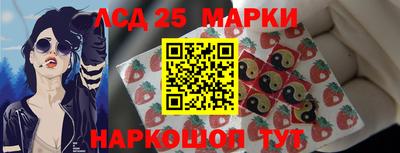 шишки Кандалакша