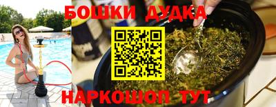 шишки Кандалакша