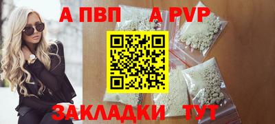 шишки Кандалакша