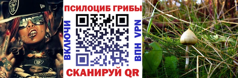 Псилоцибиновые грибы мицелий Серов