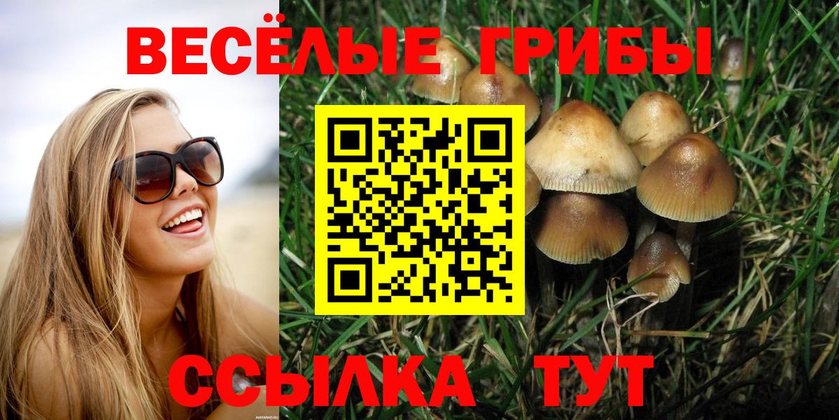 Серов  наркота  Вход с VPN  Галлюциногенные грибы мицелий 