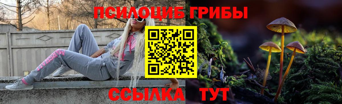 Галлюциногенные грибы мухоморы Серов